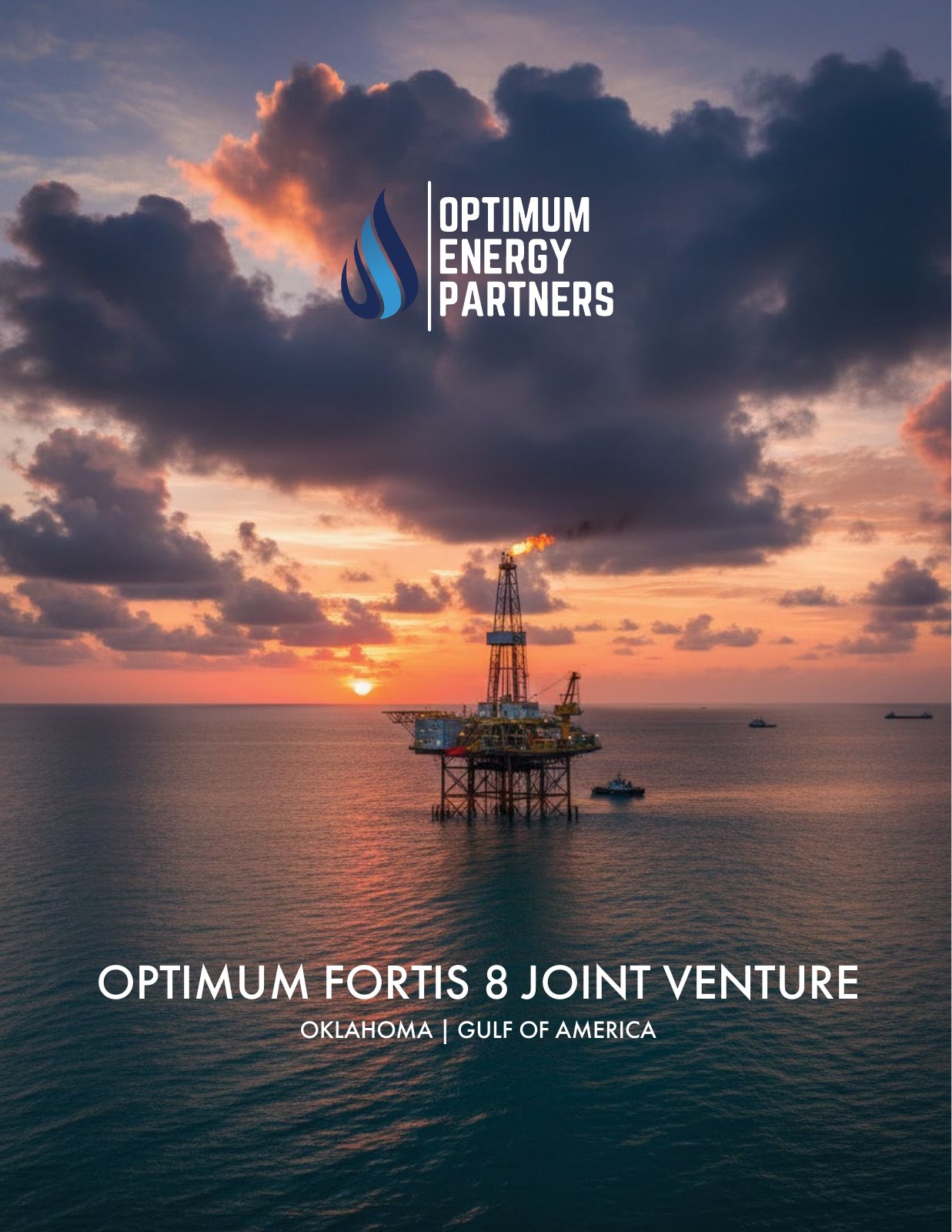 OPTIMUM FORTIS 8 JOINT VENTURE